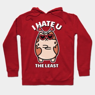 I hate you the least Hoodie